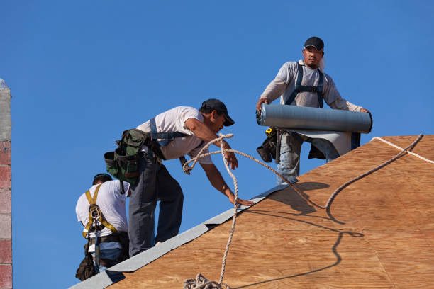 Best Storm Damage Roof Repair  in Aragon, GA