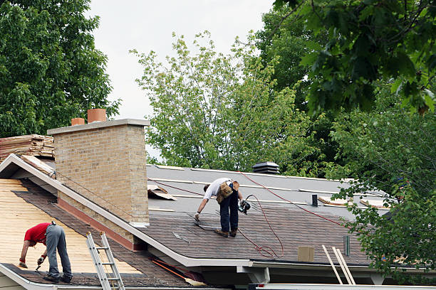 Best New Roof Installation  in Aragon, GA