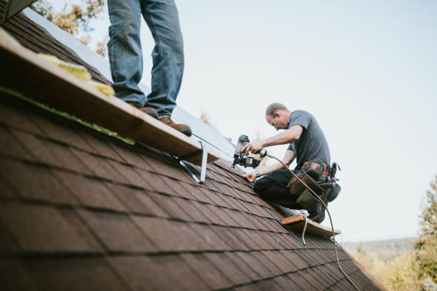 Best Roof Gutter Cleaning  in Aragon, GA